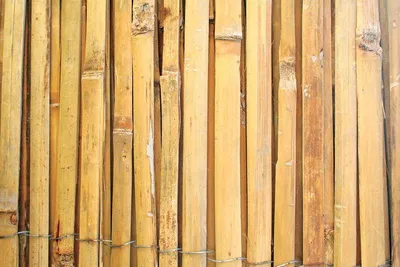 A close-up view of a fence made of vertical bamboo poles.