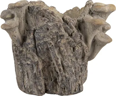 Zdjęcie produktu dla Doniczka Clayre & Eef 19x17x16 cm brązowy kamień