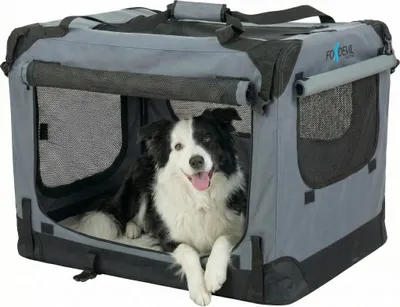 Produktbild von Foxdevil by xonic® Faltbare Hundebox / Katzenbox für mittelgroße Tiere – Hundetransportbox Auto und Zuhause – Transportbox Hund – Hundebox Auto Kofferraum (Grau, L)