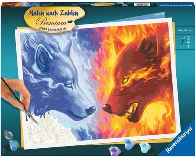 Produktbild von Fire & Ice Ravensburger 20181
