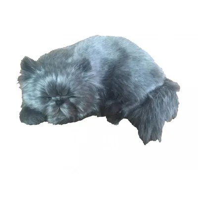 Produktbild von Perfect Petzzz 92608 Perser-Kätzchen