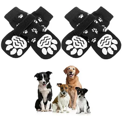 Produktbild von Socken, 4 Stück, schwarze, rutschfeste Hunde-Innensocken M