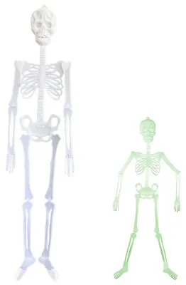 Halloween-Skelett 90 cm, Dekofigur für Gruselszenen