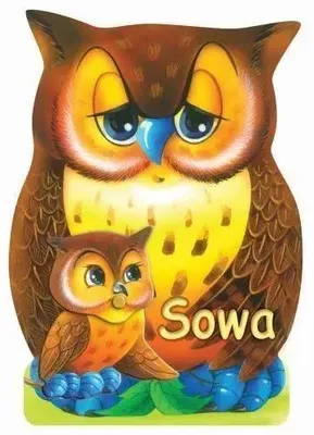 Produktbild von Sowa LIWONA - Rafał Wejner