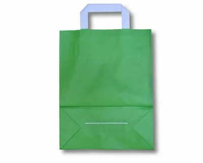 Produktbild von 250x Papiertragetaschen aus Kraftpapier 220+100x280mm grün