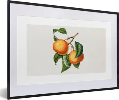 Produktbild von MuchoWow® Gerahmtes Poster Obst - Lebensmittel - Blätter 60x40 cm - Poster mit Schwarzem Bilderrahmen Wandposter Rahmen Foto Bilder - Schlafzimmer - Plakat in Rahmen - Drucken