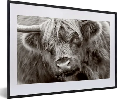 Produktbild von MuchoWow® Gerahmtes Poster Schottischer Highlander - Schwarz - Weiß - Hörner 60x40 cm - Poster mit Schwarzem Bilderrahmen Wandposter Rahmen Foto Bilder - Schlafzimmer - Plakat in Rahmen - Drucken