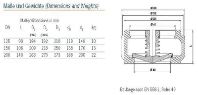 Obrázek produktu pro RITAG Rs-Ventil Sr 10.16, DN125, 1 ks