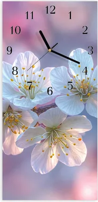 Produktbild von Wanduhr aus Glas mit Motiv Blühender Zweig- 30 x 60 cm - inkl. Aufhängesystem