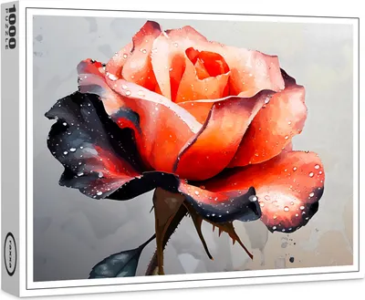 Produktbild von raxxa Premium-Puzzle "Schönheit der Rose", 1000 Teile