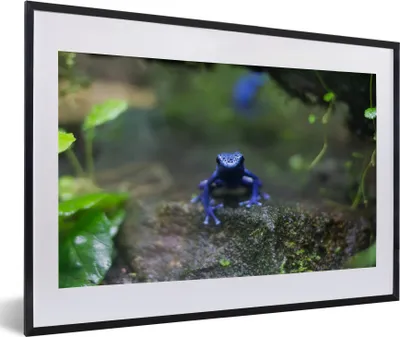 Produktbild von MuchoWow® MuchoWow® Gerahmtes Poster Blauer Frosch im Dschungel 60x40 cm - Poster mit zchwarzem Bilderrahmen - Schlafzimmer - Plakat in Rahmen - Drucken