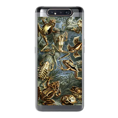 Produktbild von MuchoWow® Handyhülle Schutzhülle Hülle für Samsung Galaxy A80 Batrachia - Haeckel - Alte Meister Silikon Softcase Handy Hülle - Schutzdeckel