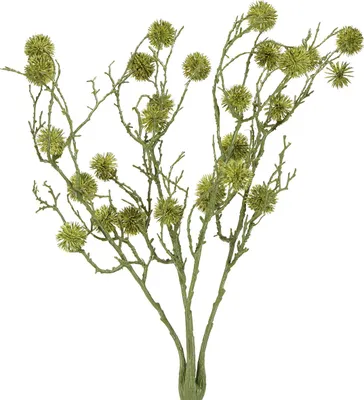Produktbild von Dekorativer Kunstzweig mit Amberbaum-Früchten für vielseitige Arrangements