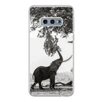 Produktbild von MuchoWow® Handyhülle Schutzhülle Hülle für Samsung Galaxy S10e Elefant - Baum - Tiere - Schwarz und weiß Silikon Softcase Handy Hülle - Handy