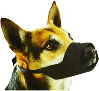 Immagine prodotto di Museruola in nylon per cani, taglia 0, Kruuse -