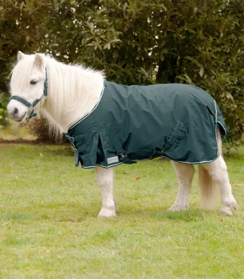 A miniature horse wearing a dark green blanket stands in a grassy field.