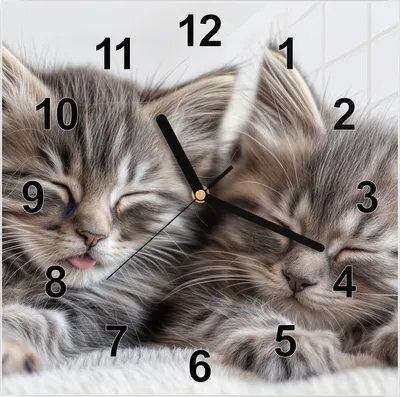 Produktbild von Wanduhr aus Glas mit Motiv Schlafende Kätzchen- 30 x 30 cm - inkl. Aufhängesystem