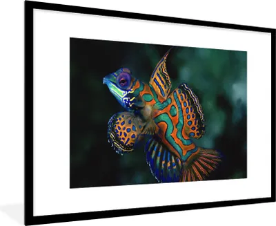 Produktbild von MuchoWow® MuchoWow® Gerahmtes Poster Fisch - Meer - Orange 90x60 cm - Poster mit zchwarzem Bilderrahmen - Wanddekoration - Fotos