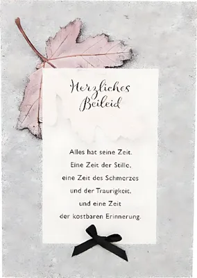 Produktbild von Depesche Trauerkarten Sortierung : Herzliches Beileid Alles hat seine Zeit. Trauerkarten Sortierung : Herzliches Beileid Alles hat seine Zeit.