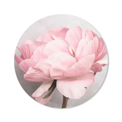 Produktbild von MuchoWow® Mauspad Mousepad Blumen - Rosa - Natur - Pflanze 50x50 cm - Mousepads - Maus Mat - Pad - Mausunterlage - Vinyl