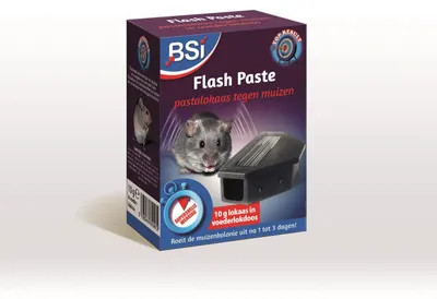 Image de Bsi Flash Paste 2x10gr Appâts dans une boîte à appâts