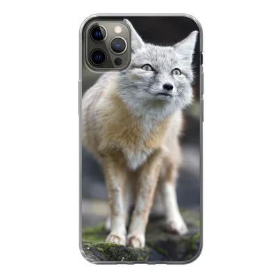 Produktbild von MuchoWow® Handyhülle Schutzhülle Hülle für iPhone 12 Pro Max Fuchs - Makro - Baum Silikon Softcase Handy Hülle - Hartschale