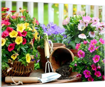 Produktbild von Bilder auf glas - Pflanzen Garten Frühling Natur - 100x70cm - Glasbilder - Wandbilder - Kunstdruck - zum Aufhängen bereit - Wanddekoration aus Glas - Glas Bilder - Wandbild auf Glas - GAA100x70-2682