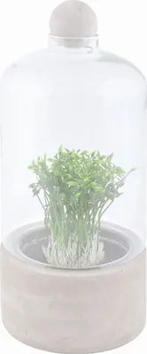 Produktbild von Esschert Design Anzuchtflasche Betonschale L; AGG44