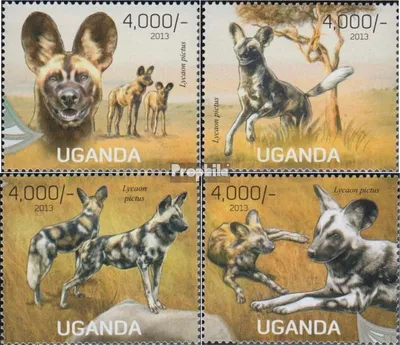 Produktbild von Briefmarken Uganda 2013 Mi 3050-3053 (kompl.Ausg.) postfrisch Afrikanischer Windhund