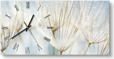 Produktbild von DEQORI Glasuhr 60x30 cm Römisch 'Löwenzahnsamen nah' Wanduhr Glas Uhr Design leise