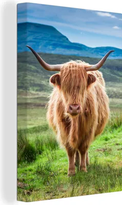Produktbild von OneMillionCanvasses® - Leinwandbilder - 90x140 cm, Schottisches Hochlandrind - Kuh - Natur - Berg - Gras, Wandbilder Wohnzimmer Hochland Rind - Tier Wanddekoration - Foto auf Leinwand - Gemälde auf - Wandschmucke - Schlafzimmer