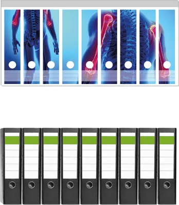 Produktbild von Wallario 9 Stück breite Ordner inkl. Klebeetiketten mit Motive Anatomie Mensch  Oberarmknochen -  Set mit Rückenschildern / Ordnerrücken Stickern