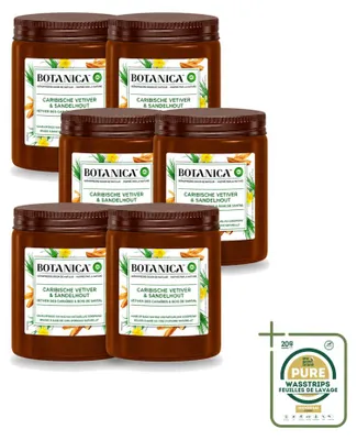 Immagine prodotto di 6 candele profumate Botanica di Air Wick - Vetiver e Sandalo - Confezione risparmio - 6 pezzi