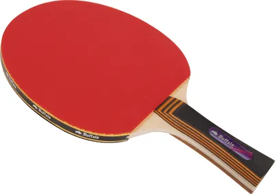 Produktbild von Tischtennisschläger Buffalo Dominator