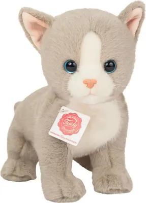 A plush toy cat with a tag.