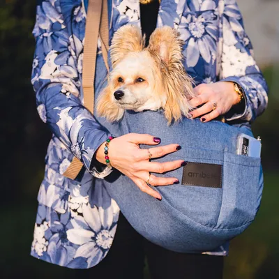 Produktbild von Hundetasche Welpentasche Tragetasche für kleine Hunde & Katzen – BoutiqueZOO – 43×20×25 cm – bis 6 kg