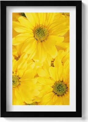 Produktbild von Blumenblüten– Wandbild mit Rahmen – Gerahmtes Bild  – Wanddekoration – 20x30 cm – Schwarz