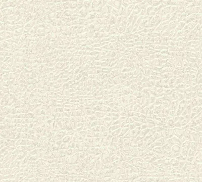 Produktbild von Architects Paper Ethnotapete Absolutely Chic Vliestapete grau silber creme 10,05 m x 0,53 m