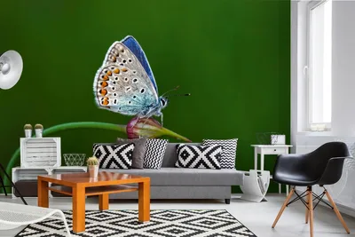 Produktbild von Vlies Fototapete SCHMETTERLING AUF DER BLUME 375 x 250 cm (inkl. Kleister) - Vlies Tapete, Wandtapete, Wandbilder - Tapete für Wohnzimmer Schlafzimmer, Büro, Küche - Montagefertig