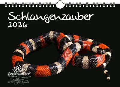 Produktbild von Schlangenzauber DIN A4 Kalender für 2026 - Seelenzauber
