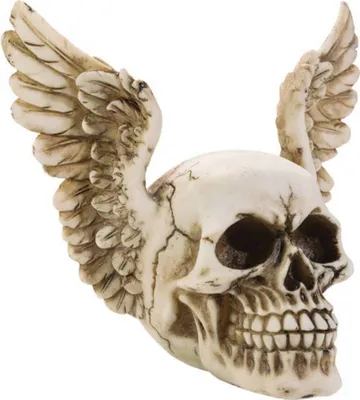 Produktbild von Totenkopf mit großen Flügelohren