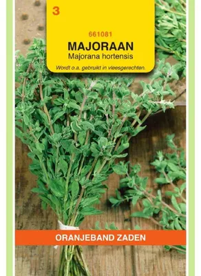 Imagen del producto de Oranjeband: Semillas de mejorana, variedad "Zaden Majoran" - 1 paquete de semillas