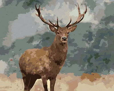Produktbild von Diamondi - Diamond painting - ERWACHSENER HIRSCH, 40X50 cm, mit Keilrahmen (bereits gespannt)