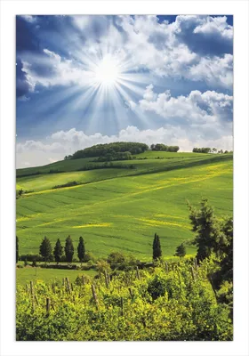 Produktbild von Wallario Wandbild Strahlender Sonnenschein, Größe: 61 x 91,5 cm, Poster mit rahmenlosen Bildhalter