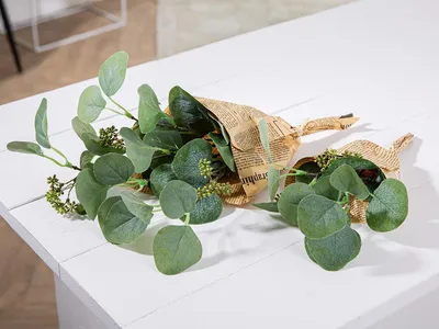 Produktbild von Gilde Deko Eukalyptus Bündel "Hoja" VE 8 57331