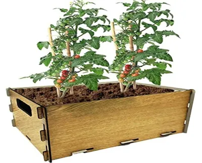 Produktbild von Tomaten-Anzuchtset für den Stadtgarten