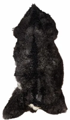 Produktbild von Schaffell Echt | Schwarzbraun mit Weiß, ca. 140 cm | Lockenflor | Öko gegerbt | Unikat 156-425