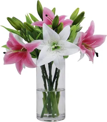 Immagine prodotto di Fiori artificiali - Fiori decorativi - 6 pezzi - Rosa e bianco - Resistenti alle intemperie