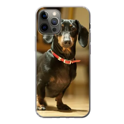 Produktbild von MuchoWow® Handyhülle Schutzhülle Hülle für iPhone 13 Pro Porträt eines schwarzen Dackels Silikon Softcase Handy Hülle - Handy-Tasche