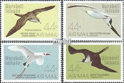 Produktbild von Briefmarken Marshall-Inseln 1987 Mi 105-108 (kompl.Ausg.) postfrisch Seevögel